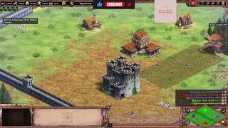 Age of Empires 2 | going for the win