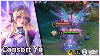 Consorte Yu｜Consort Yu's diverse gameplay｜Jogabilidade alternativa do Consorte Yu｜Honor of Kings