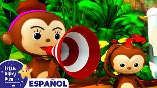 5 Monitos - Canciones Infantiles | Dibujos Animados | Little Baby Bum en Español