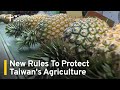 New Laws Aim To Protect Taiwan's Agriculture | TaiwanPlus News