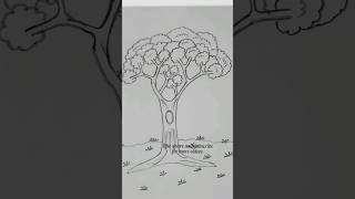 Easy tree drawing #art#shorts