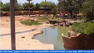 Police Sheriff Scanner Tucson | Real Calls + Nancy Guthrie Discussion | 857 Tucson