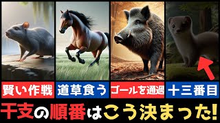 【干支の秘密】知らなかった！十二支の順番に隠された物語【猫使ビィ解説】