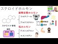 ① ホルモン分泌、ポジティブ、ネガティブフィードバックについて【看護、薬学生向け】