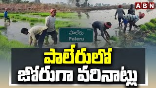 పాలేరులో జోరుగా వరినాట్లు | Huge Paddy Farming In Khammam Paleru | ABN Telugu