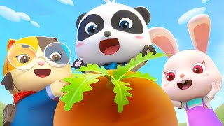 Let's Pull out the Big Carrot | for Kids | Nursery Rhymes | Kids Songs | Panda Cartoon | BabyBus