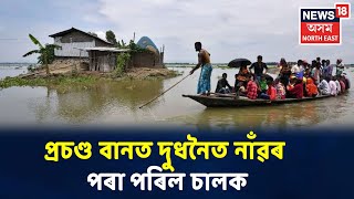 Dudhnoiত নাঁৱৰ পৰা পৰিল এজন চালক, Assamত বানে লৈছে ভয়ংকৰ ৰূপ