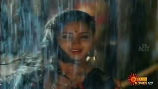 hot wet rain song 🎵