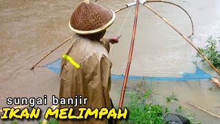 Anco Ikan Sungai Banjir Ikan Melimpah ‼️ Jaring Ikan, Jala Ikan