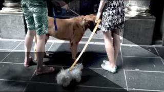 Old Navy commercial - Episode 2 - Pattern Play
