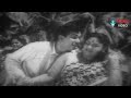 abhimanam songs oho basthi dorasani akkineni nageswara rao savitri krishna kumari