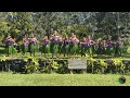 hula kahiko featuring hālau nāwehiokaipoaloha under the direction of kumu ipolei lindsey asing