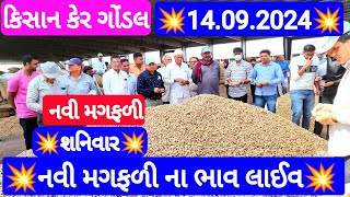 નવી મગફળીના બજાર ભાવ | મગફળીના આજના બજાર ભાવ | ગોંડલ મગફળીના ભાવ | Gondal marketing yard 14.09.2024