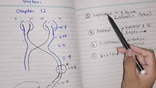 Visual pathway, guyton 52 part 1