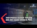 800.000 Dosis Vaksin PMK Tiba di Indonesia, Pendistribusian Dipastikan 'Gratis' Bagi Masyarakat!