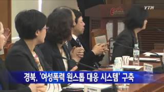 [경북] '여성폭력 원스톱 대응 시스템' 구축 / YTN