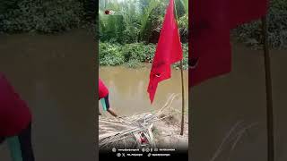 DPC PDI Perjuangan Kabupaten Mamuju Gelar Aksi Tanam Mangrove Di Kawasan Pesisir Kalukku