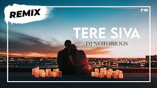 Tere Siva (Remix) - DJ Notorious | Renessa Das | Ash King | Rashmi Virag | Coolie No. 1 (2020)