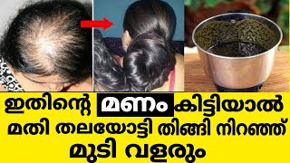 ഇതിന്റെ മണം കിട്ടിയാൽ തന്നെ മുടി ഉള്ളോട് കൂടെ തഴച്ചു വളരും || best hair pack for hair fall