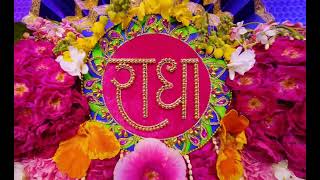 श्री हित राधा केली कुंज राधा नाम कीर्तन 29/05/25
