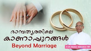 ദാമ്പത്യത്തിലെ കാണാപ്പുറങ്ങൾ  | Beyond Marriage | Episode 2| Fr. Dr. Thomas Ambookan CMI