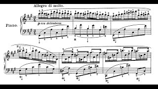 Bortkiewicz - Etude Op. 15, No. 9, Allegro di molto (F# minor) - Cyprien Katsaris Piano