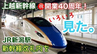 【開業40周年！】上越新幹線と新潟駅のいまを歩いて色々発見！