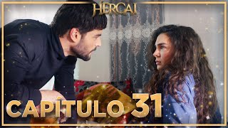 Hercai - Capítulo 31