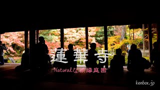 蓮華寺の紅葉、額縁庭園と逆さモミジかの池面反射、京都洛北の写真撮影スポット