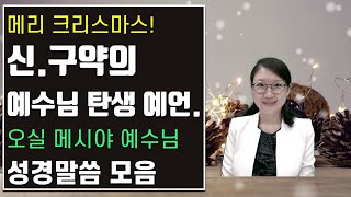 [교회절기-크리스마스] 신구약의 예수님 탄생 예언. 예수님 호칭. 가장 유명한 성탄절 관련 성경말씀 모음. [내바시 말씀묵상]