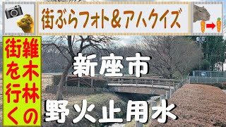 （設問）第41問　新座野火止用水