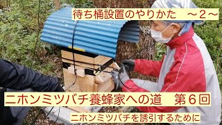 ニホンミツバチ養蜂家への道　第６回　日本蜜蜂を誘引するための待ち桶の設置のやりかたについて