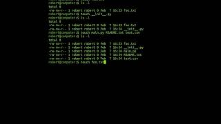 The 'touch' Command In Linux