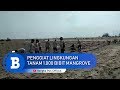 Penggiat Lingkungan Tanam 1.000 Bibit Mangrove di Pantai Rebo