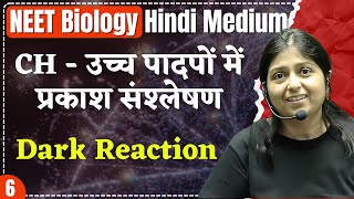 NEET Biology | L-6 | Dark Reaction | CH - उच्च पादपों में प्रकाश संश्लेषण by Dr. Shipra Ma’am