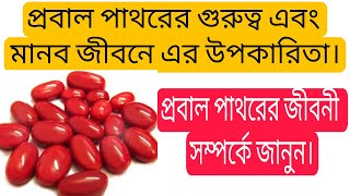 প্রবাল পাথরের গুরুত্ব এবং মানব জীবনের এর উপকারিতা। Importance of coral stone and its benefits