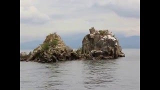 琵琶湖沖の白石巡り.