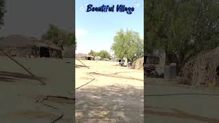 Inside View Of Beautiful Village Of Sindh Pakistan. | The Desert Village Of Sindh.