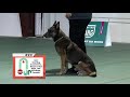 learn rally master exercises l ukc rally obedience