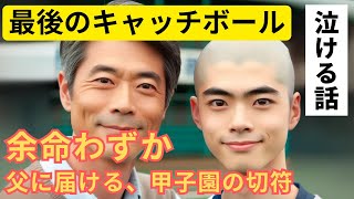 【父、余命1年】死ぬ前に息子とキャッチボールできて良かった…甲子園の夢を子供に託して｜感動する話・泣ける話