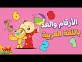 تعلّم الأرقام والعد باللغة العربية للأطفال - آدم ومشمش | Learn Numbers & Counting in Arabic for Kids