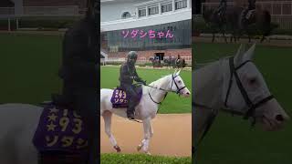 ソダシちゃん#shorts #競馬 #ソダシ #パドック