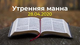 Утренняя манна 28.04.2020