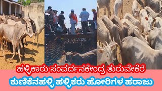 ಹಳ್ಳಿಕಾರ್ ಹೋರಿಗಳ ಹರಾಜು ಪ್ರಕ್ರಿಯೆ hallikar bull action