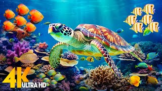 Ocean 4K - Sea Animals for Relaxation, Beautiful Coral Reef Fish in Aquarium (4K Video Ultra HD) #98