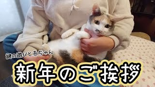 【2025】出遅れた‥新年のご挨拶と謎の遊びに目覚めた赤ちゃんミルクティーさんのお正月は‥通常営業だった。