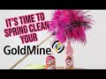 Top Tips on maintaining your GoldMine CRM system