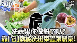 洗蔬果你做對了嗎？ 靠「它」就能洗出菜蟲跟農藥！【57健康同學會】精華篇｜廖慶學 嚴立婷 林中英 江守山 許瓊月 溫國智