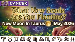 Cancer ♋ What New Seeds Are You Planting? 🌕 New Moon In Taurus ✨ May 2026