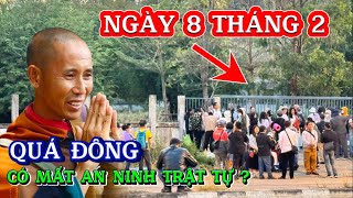 Thầy Minh Tuệ có bộ hành ? Quá đông ???#thichminhtue #minhtue